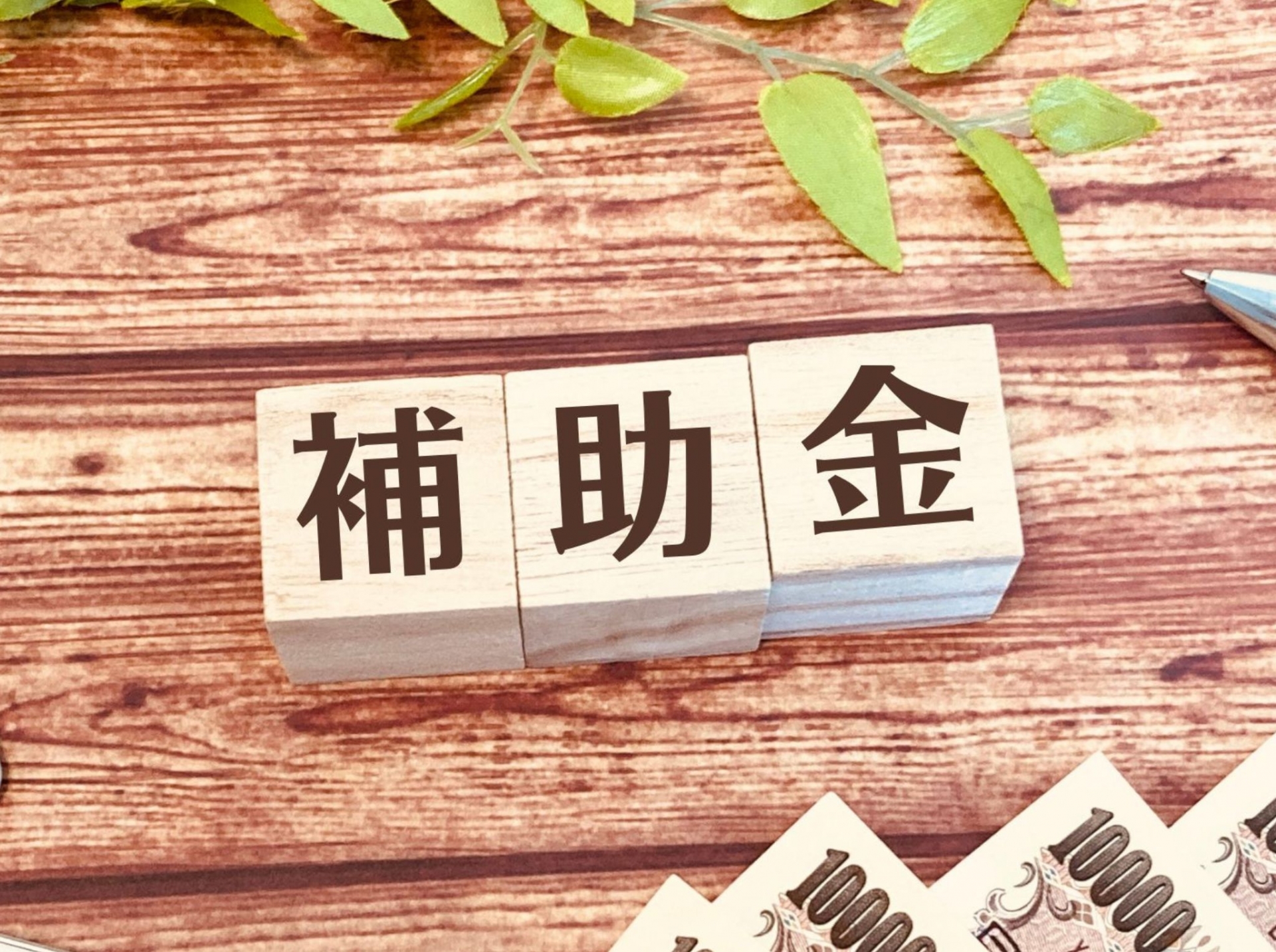 DR補助金とは！蓄電池の対象補助条件や申請方法と国の制度を解説